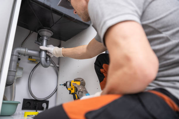 Best Garbage Disposal Repair and Installation  in Twin Lakes, VA